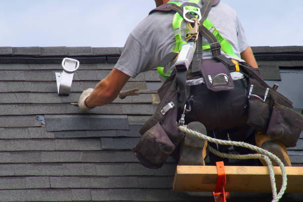 Best Roof Gutter Cleaning  in Merryville, LA