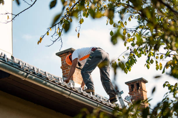 Best Residential Roofing Contractor  in Merryville, LA