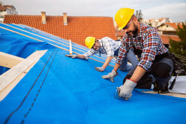 Best Metal Roofing Contractor  in Merryville, LA